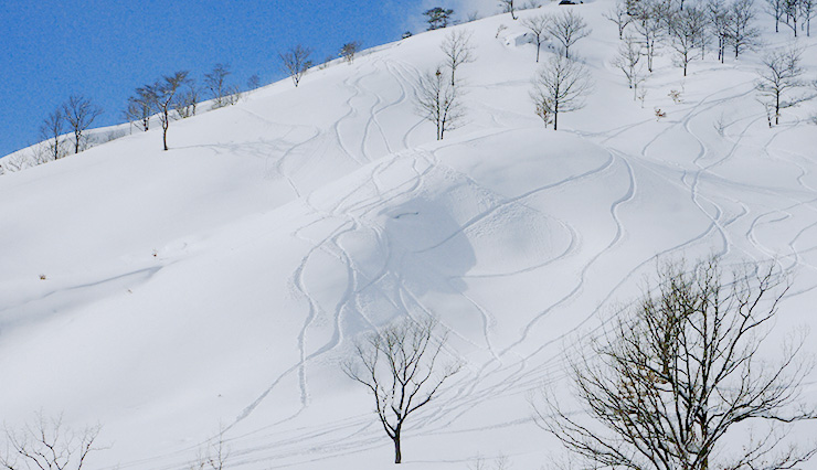 雪山登山