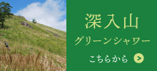 深入山グリーンシャワー