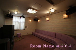 Room name　コスモス